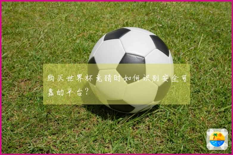 购买世界杯竞猜时如何识别安全可靠的平台？