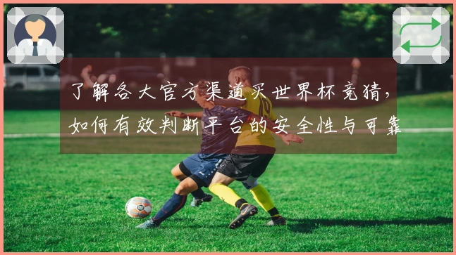 了解各大官方渠道买世界杯竞猜，如何有效判断平台的安全性与可靠性