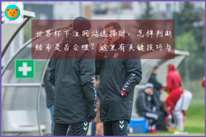 世界杯下注网站选择时，怎样判断赔率是否合理？这里有关键技巧与实战案例分析