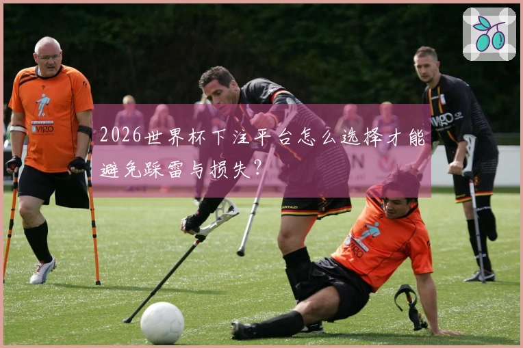 2026世界杯下注平台怎么选择才能避免踩雷与损失？