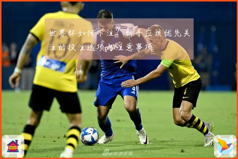 世界杯如何下注？新手应该优先关注的投注选项与注意事项