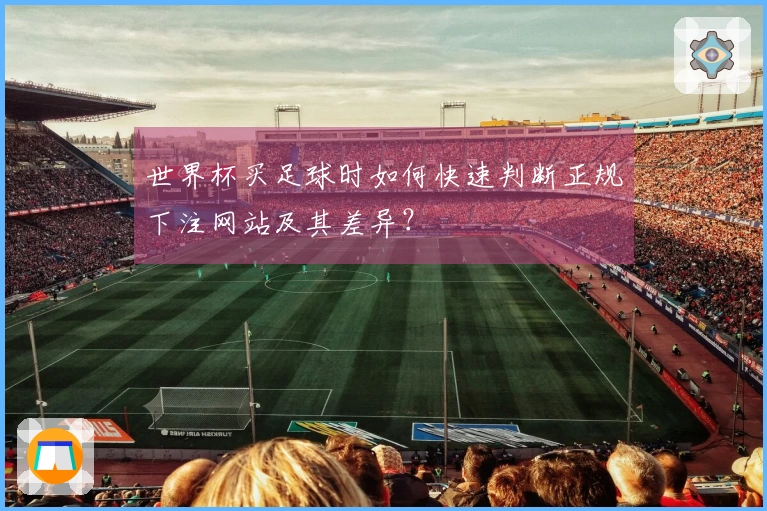世界杯买足球时如何快速判断正规下注网站及其差异？