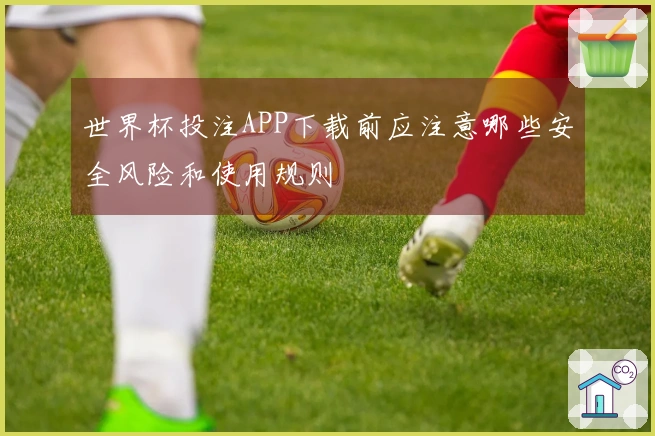 世界杯投注APP下载前应注意哪些安全风险和使用规则