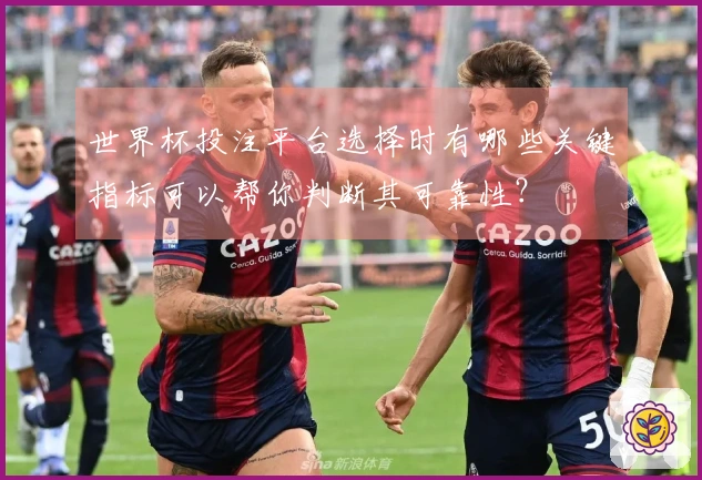 世界杯投注平台选择时有哪些关键指标可以帮你判断其可靠性？