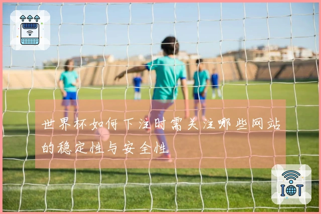 世界杯如何下注时需关注哪些网站的稳定性与安全性