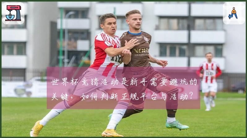 世界杯竞猜活动是新手需要避坑的关键，如何判断正规平台与活动？