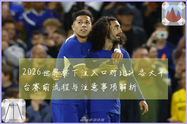 2026世界杯下注入口对比：各大平台赛前流程与注意事项解析