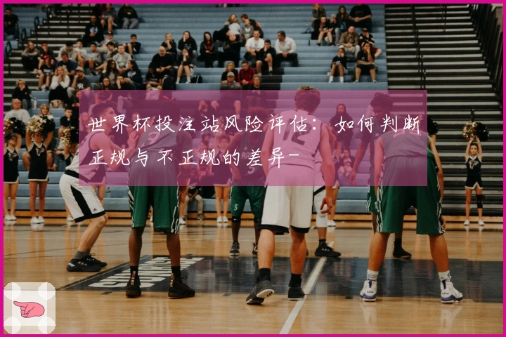 世界杯投注站风险评估：如何判断正规与不正规的差异-