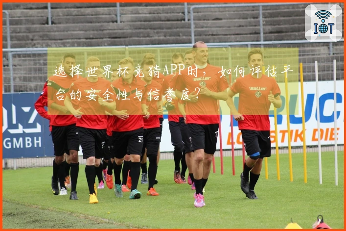 选择世界杯竞猜APP时，如何评估平台的安全性与信誉度？