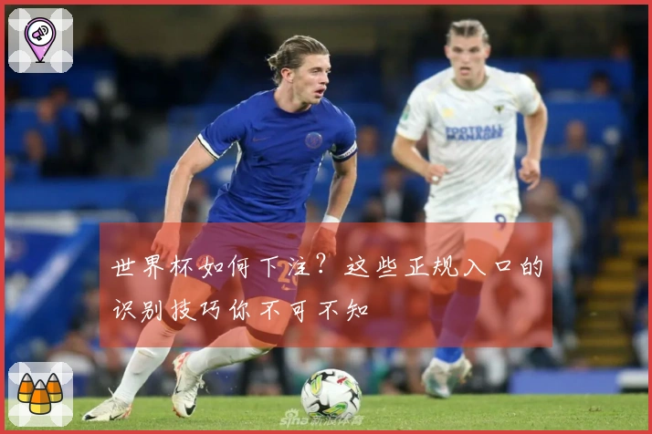 世界杯如何下注？这些正规入口的识别技巧你不可不知