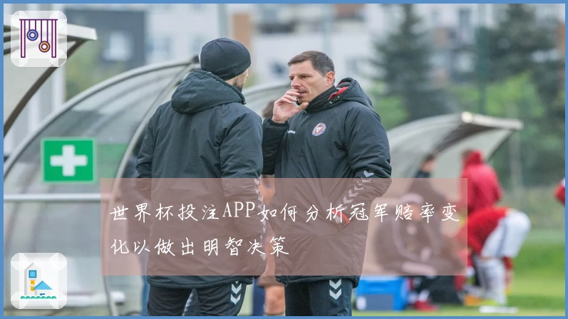 世界杯投注APP如何分析冠军赔率变化以做出明智决策