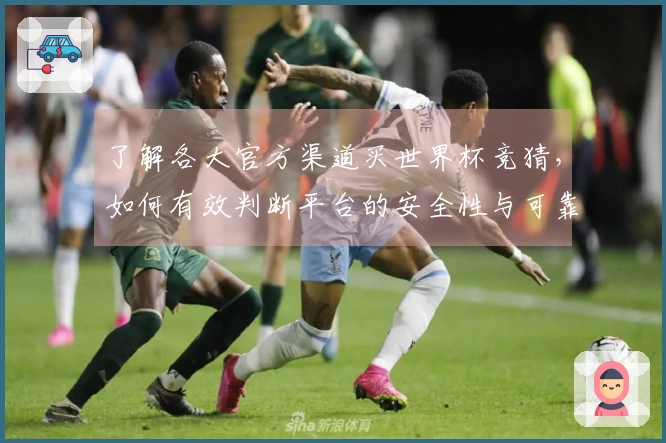 了解各大官方渠道买世界杯竞猜，如何有效判断平台的安全性与可靠性