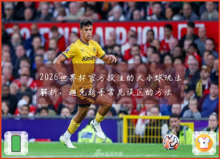 2026世界杯官方投注的大小球玩法解析，避免新手常见误区的方法
