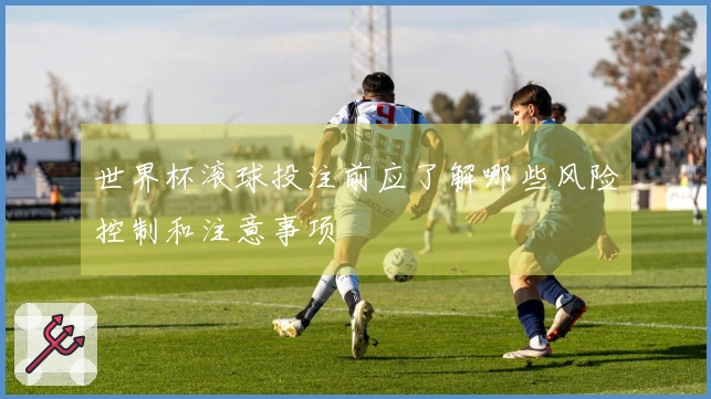 世界杯滚球投注前应了解哪些风险控制和注意事项