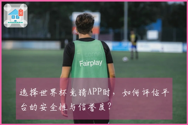 选择世界杯竞猜APP时，如何评估平台的安全性与信誉度？