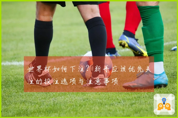 世界杯如何下注？新手应该优先关注的投注选项与注意事项