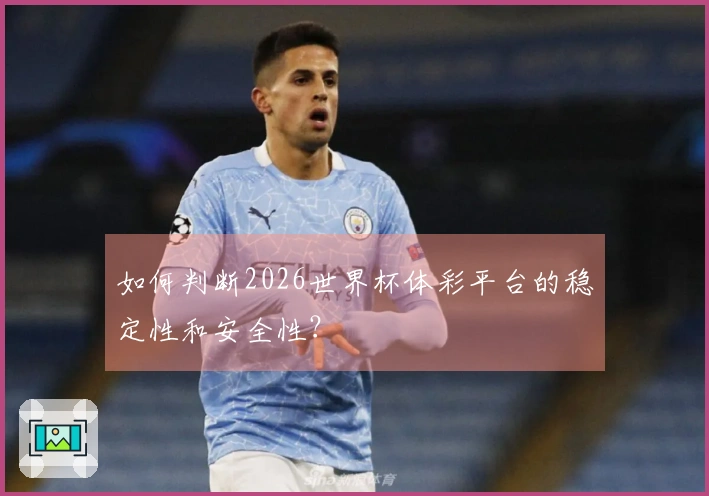 如何判断2026世界杯体彩平台的稳定性和安全性？