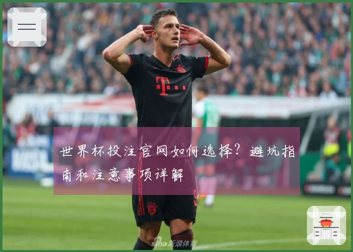 世界杯投注官网如何选择？避坑指南和注意事项详解