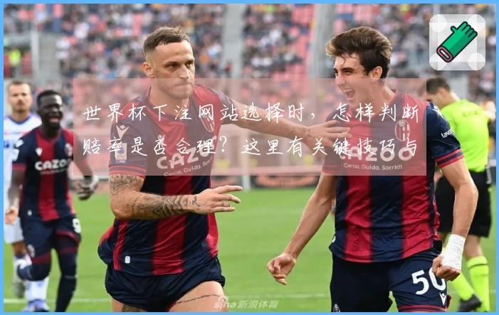 世界杯下注网站选择时，怎样判断赔率是否合理？这里有关键技巧与实战案例分析